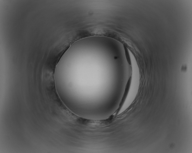 X0000093100521200710101540