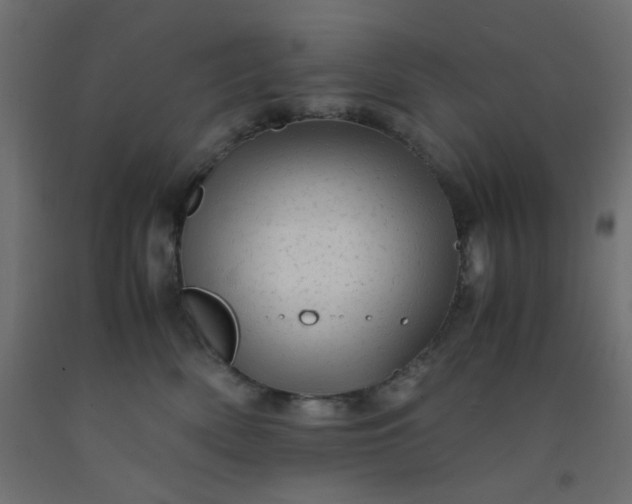 X0000093100522200710101540