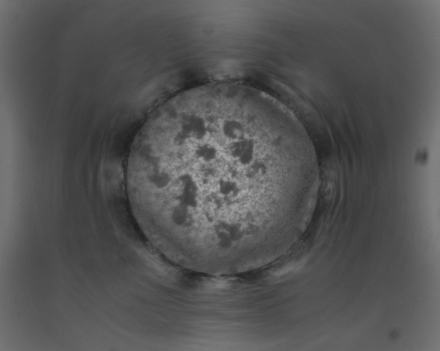 X0000093100523200710101540