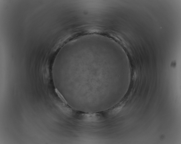X0000093100524200710101540
