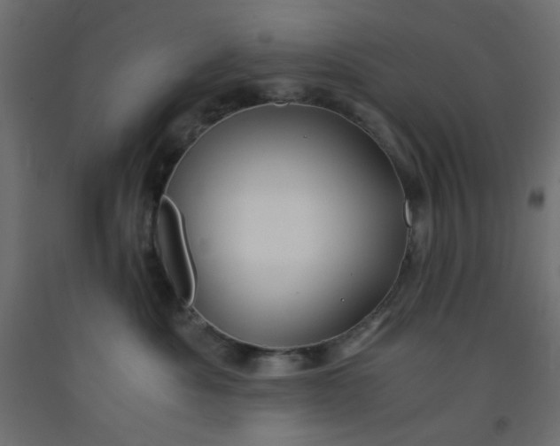 X0000093100525200710101540