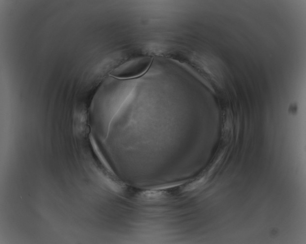 X0000093100526200710101540