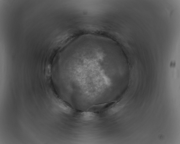 X0000093100528200710101540