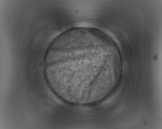 X0000093100529200710101540