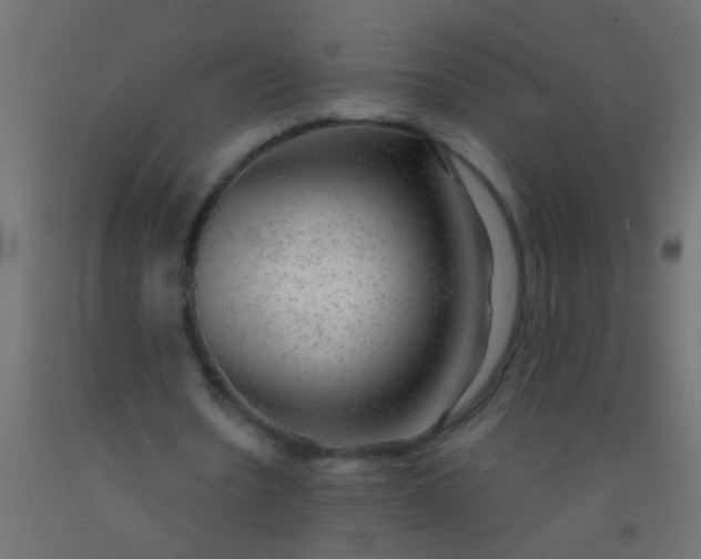 X0000093100530200710101540