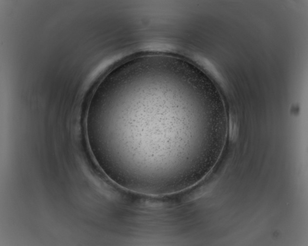X0000093100531200710101540