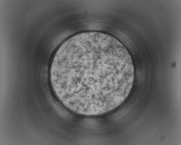 X0000093100534200710101540