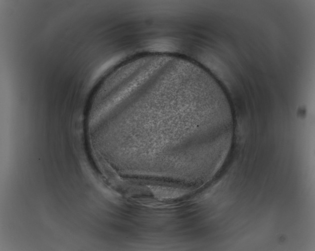 X0000093100535200710101540