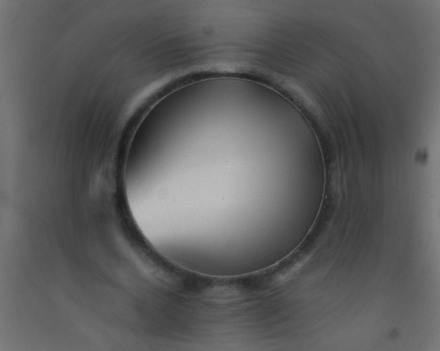 X0000093100536200710101540