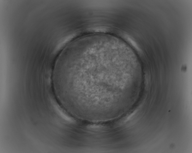 X0000093100537200710101540
