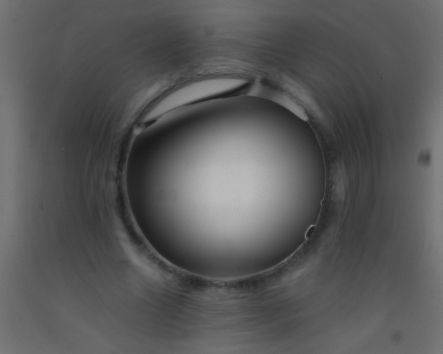 X0000093100538200710101540