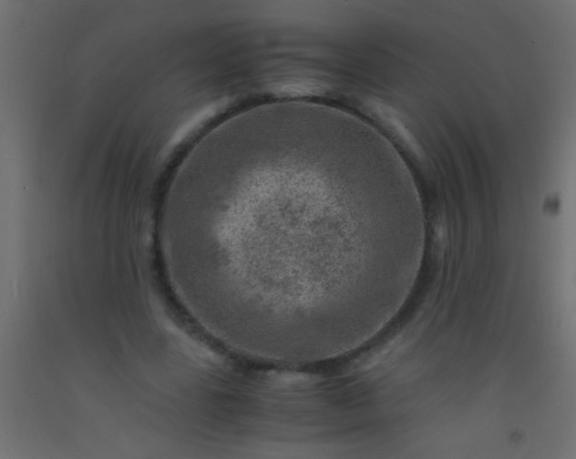 X0000093100539200710101540
