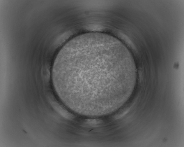 X0000093100541200710101540
