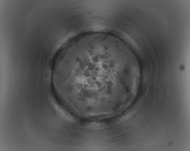 X0000093100542200710101540