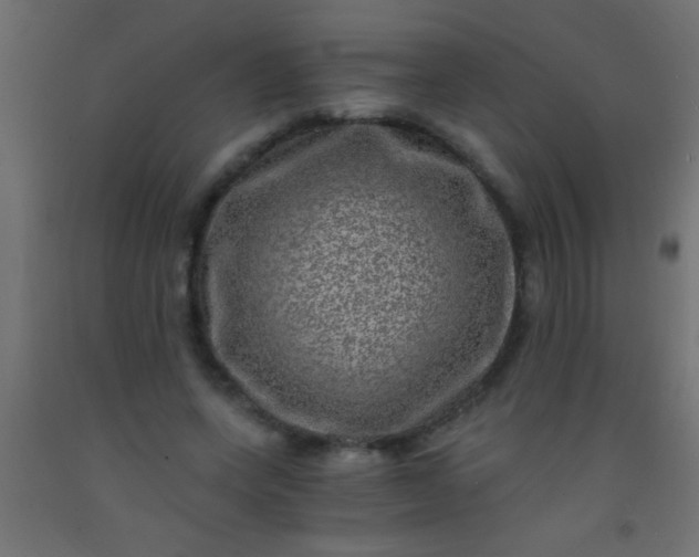 X0000093100543200710101540