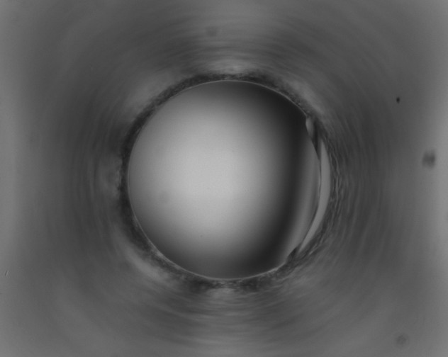 X0000093100544200710101540