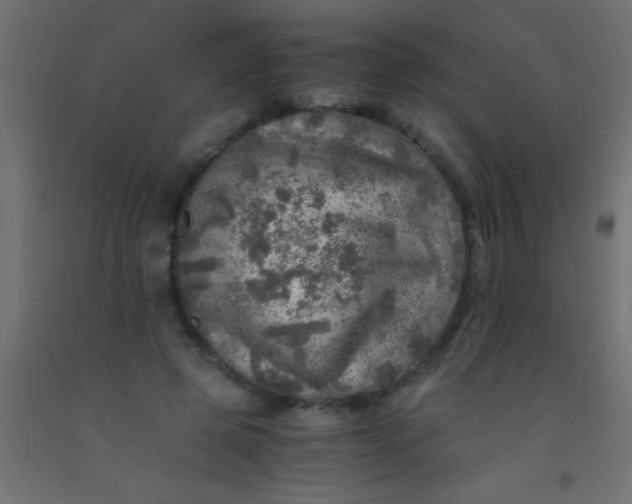 X0000093100545200710101540
