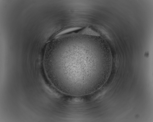 X0000093100546200710101540