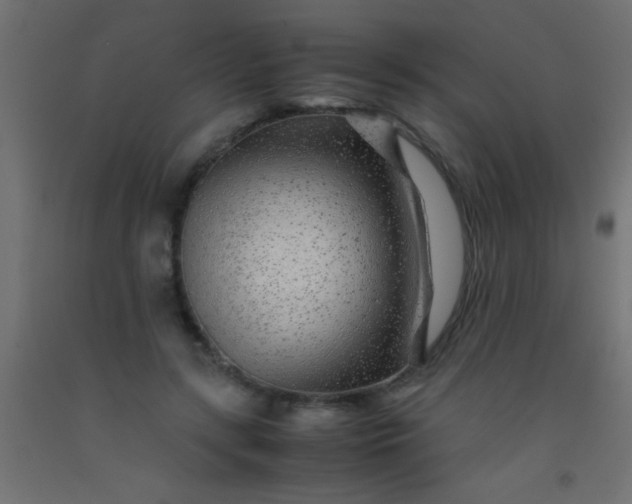 X0000093100547200710101540