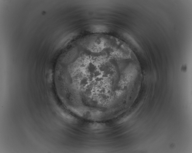 X0000093100549200710101540