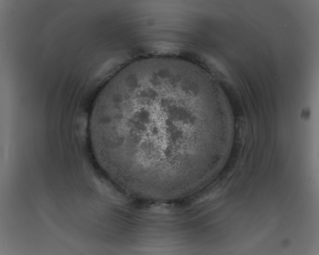 X0000093100550200710101540