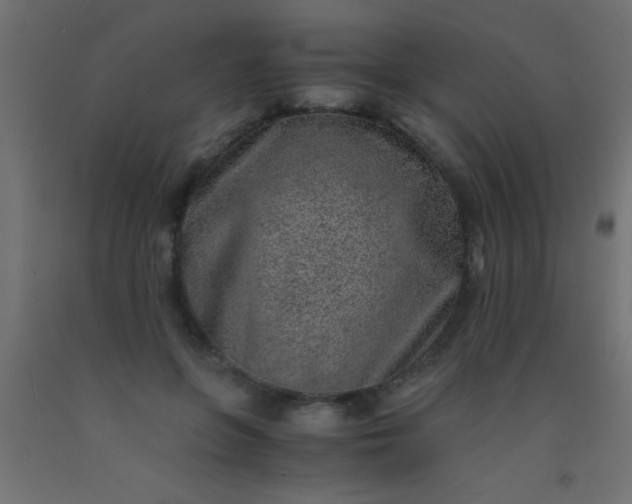 X0000093100551200710101540