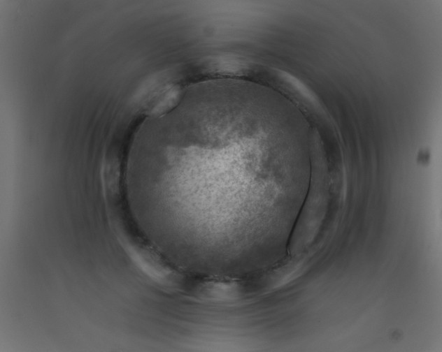 X0000093100552200710101540