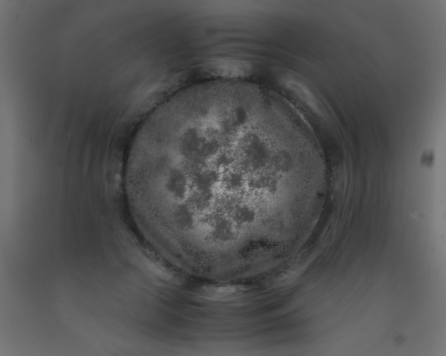 X0000093100553200710101540