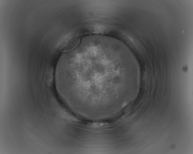 X0000093100554200710101540