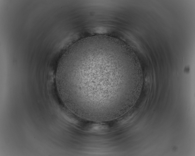 X0000093100555200710101540