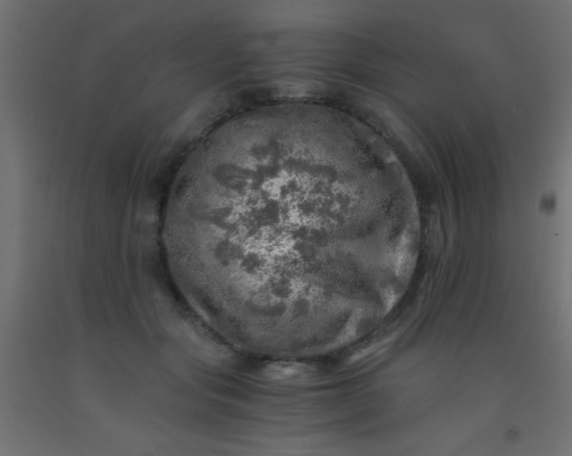 X0000093100557200710101540