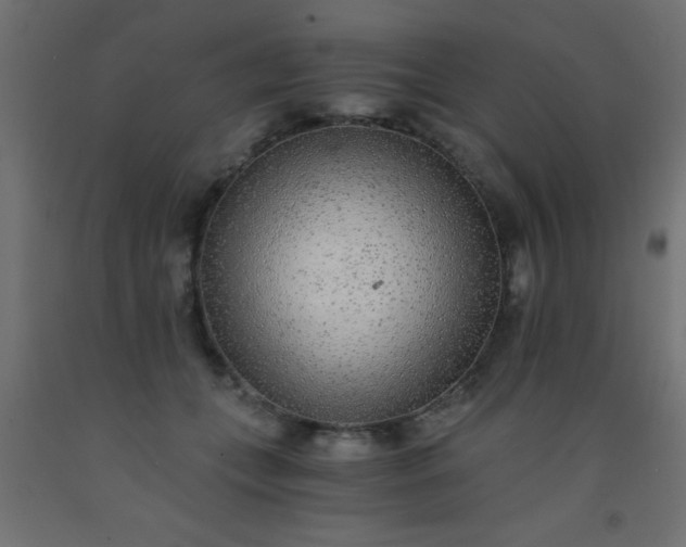X0000093100559200710101540
