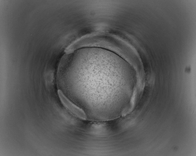 X0000093100560200710101540