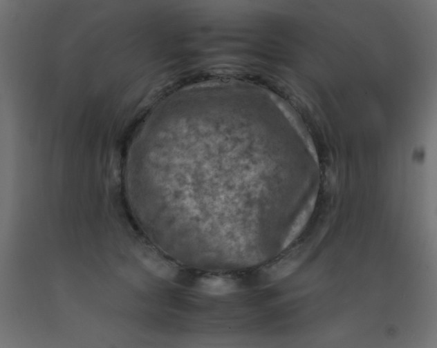 X0000093100561200710101540
