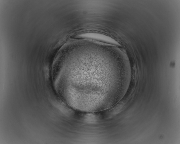 X0000093100562200710101540