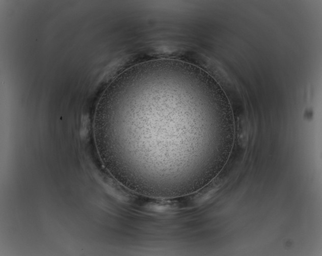 X0000093100563200710101540