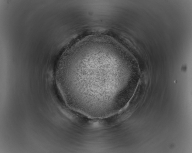 X0000093100564200710101540