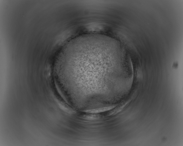 X0000093100567200710101540