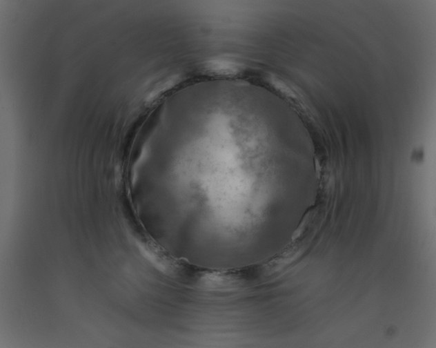 X0000093100568200710101540