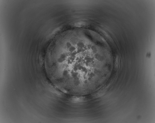X0000093100569200710101540