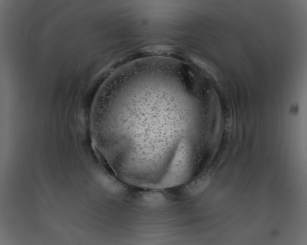 X0000093100572200710101540