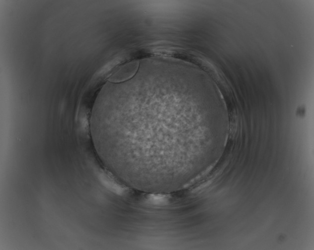X0000093100573200710101540