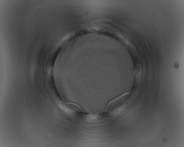 X0000093100574200710101540