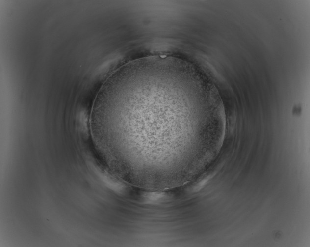X0000093100575200710101540