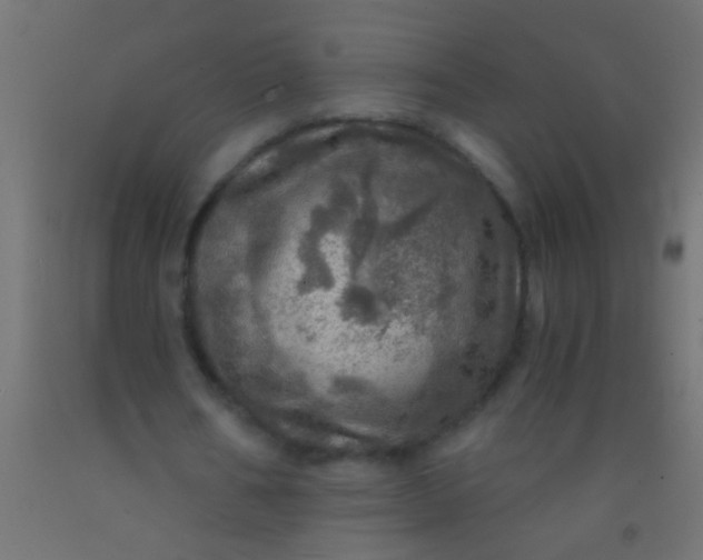 X0000093100578200710101540