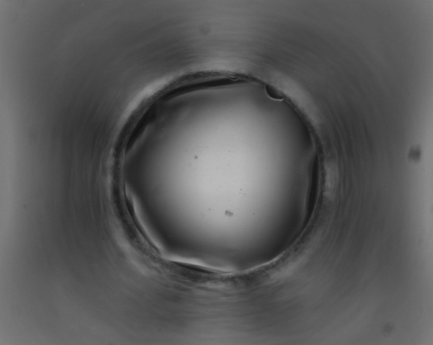 X0000093100580200710101540