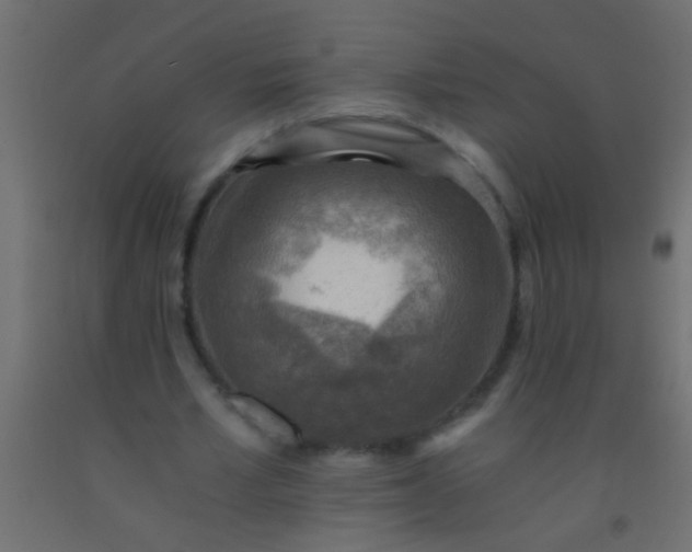 X0000093100581200710101540