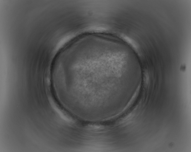 X0000093100582200710101540
