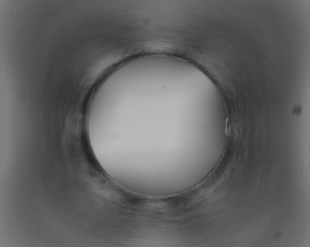 X0000093100583200710101540