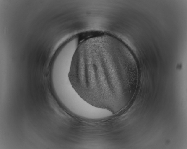 X0000093100584200710101539